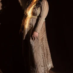 Abhishek Sharma Dusk Metallic Pleated Draped Dress