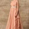 Ridhi Mehra Jacinthe Peach Organza Jumpsuit & Belt Set