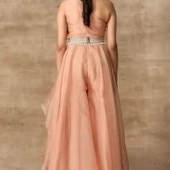 Ridhi Mehra Jacinthe Peach Organza Jumpsuit & Belt Set -Textalux Sales rmwd 17 4