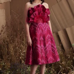 Shriya Som Fit & Flare Ikat Dress With 3D Floral Embroidery -Textalux Sales shriyasomss214523